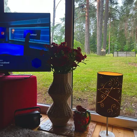 Cozy House In * Viitna