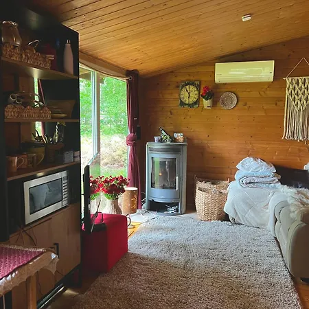 Cozy House In Vakantiehuis *